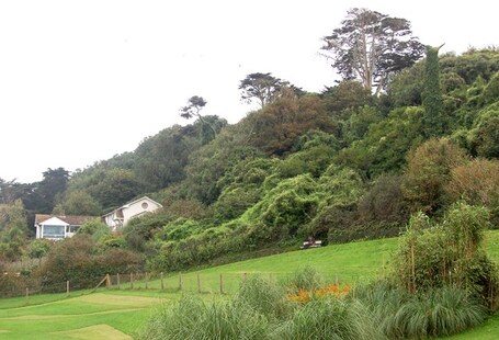 value: "Coronation Gardens, Polzeath"
