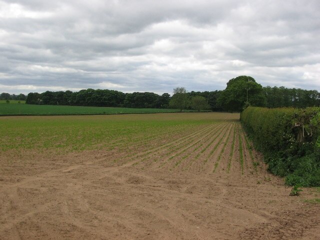 Foto “Brafferton y Helperby” tomada por Martin Norman (CC BY-SA); recorte de la original