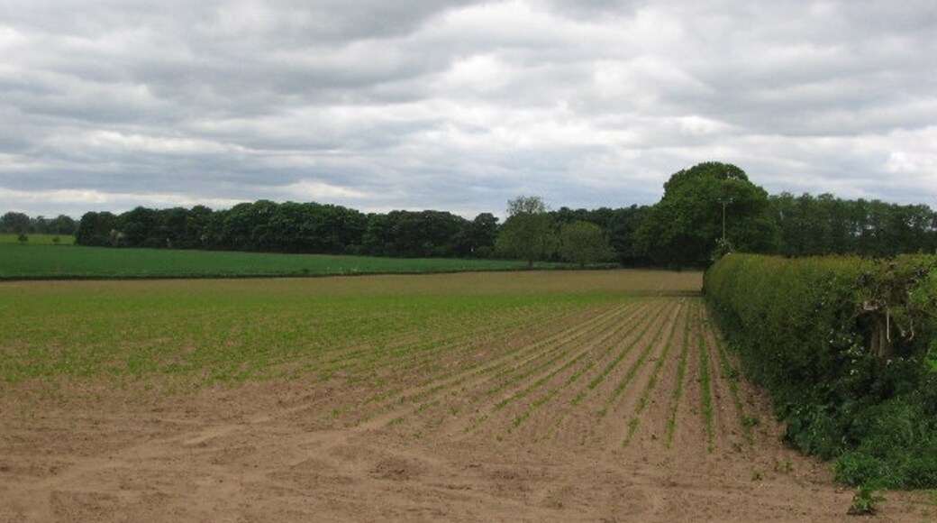 Foto “Brafferton y Helperby” tomada por Martin Norman (CC BY-SA); recorte de la original