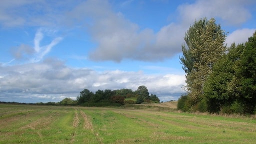 "Ferrensby"-foto av DS Pugh (CC BY-SA) / Urklipp från original