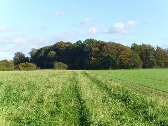 "Copgrove"-foto av Gordon Hatton (CC BY-SA) / Urklipp från original