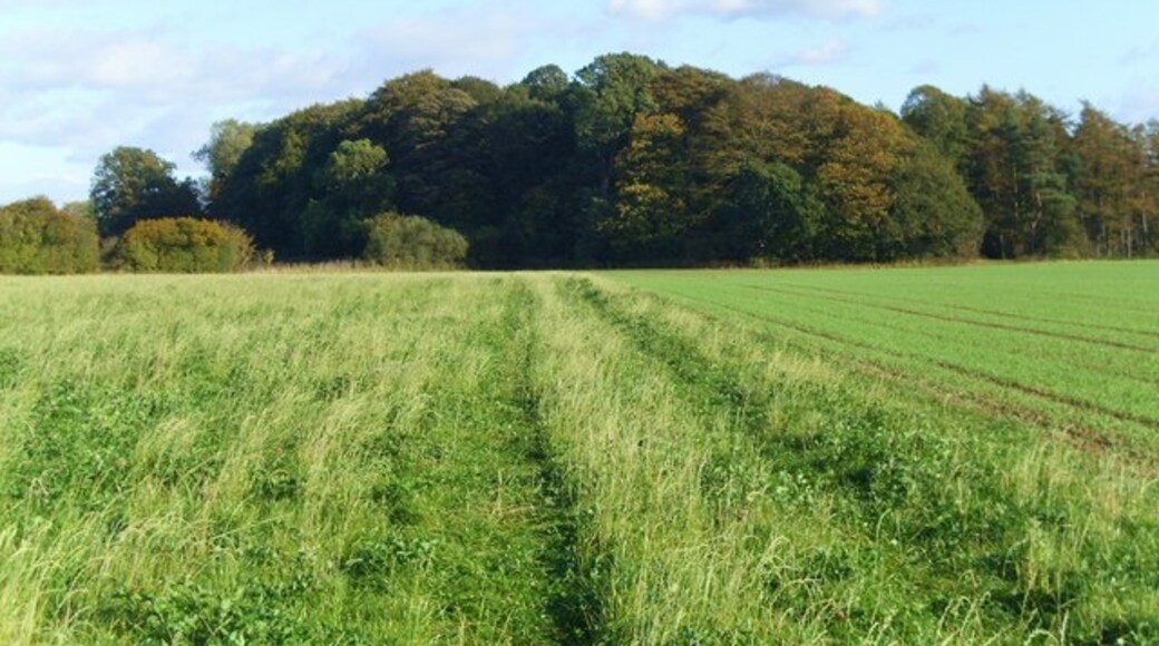 Photo "Copgrove" by Gordon Hatton (CC BY-SA) / Cropped from original