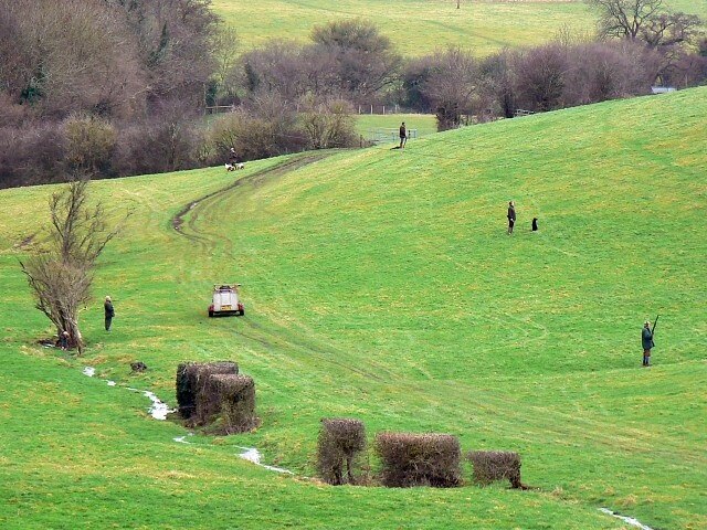 Photo "Stowey-Sutton" by Brian Robert Marshall (CC BY-SA) / Cropped from original
