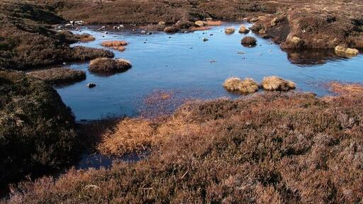 Photo "Lunedale" by David Brown (CC BY-SA) / Cropped from original