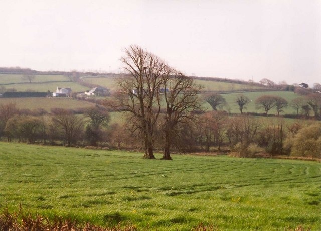 Trees in a field, Tremeere Manor, Lanivet A line of trees in a field often indicates a former hedgerow, but here there are just two close together in the middle of the field, and they were shown on the 1888 6 inch map. Lower Tredenham Farm is in the distance.