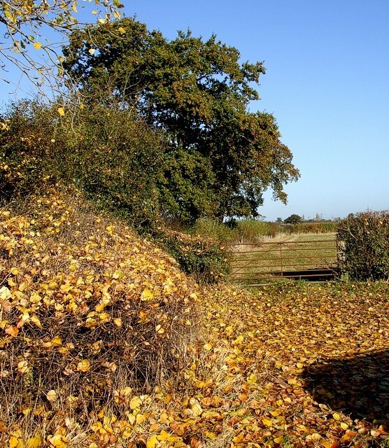 "East Claydon"-foto av Rob Farrow (CC BY-SA) / Urklipp från original