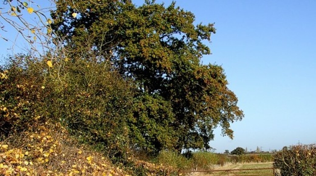 "East Claydon"-foto av Rob Farrow (CC BY-SA) / Urklipp från original