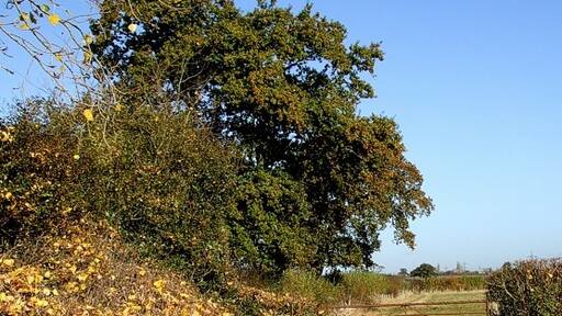 "East Claydon"-foto av Rob Farrow (CC BY-SA) / Urklipp från original