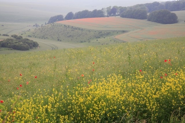 Foto „Boyton“ von Doug Lee (CC BY-SA)/zugeschnittenes Original