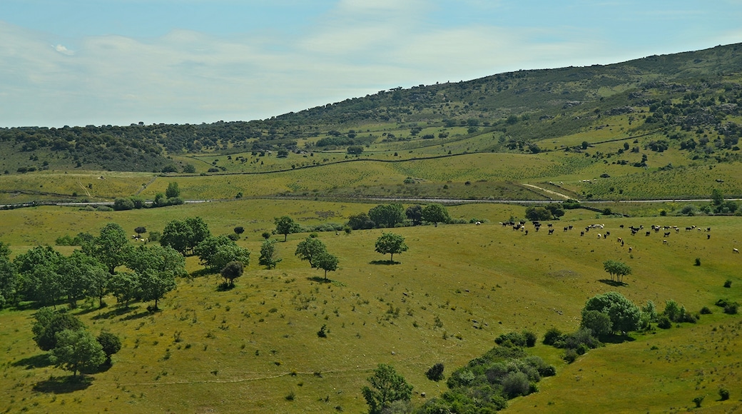 Foto "Miraflores de la Sierra" de Emilio J. Rodríguez Posada (CC BY-SA) / Recortada de la original