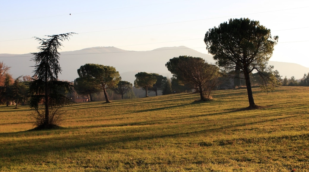 Bildet «Rieti» tatt av Alessandro Blasi (CC BY) / originalbilde beskjært