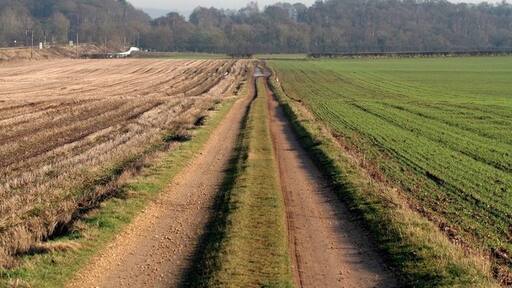 Photo "Babworth" by roger geach (CC BY-SA) / Cropped from original