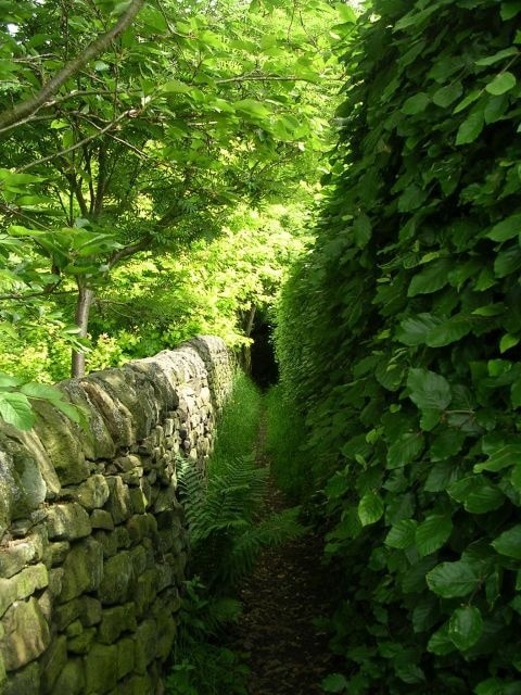 Footpath - Carr Lane, Micklethwaite