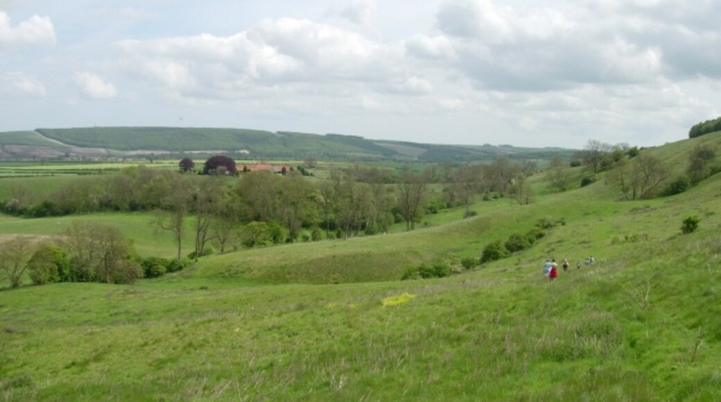 "Thorpe Bassett"-foto av Phil Catterall (CC BY-SA) / Urklipp från original