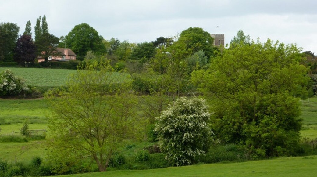 Photo "Tuddenham St Martin" by Andrew Hill (CC BY-SA) / Cropped from original