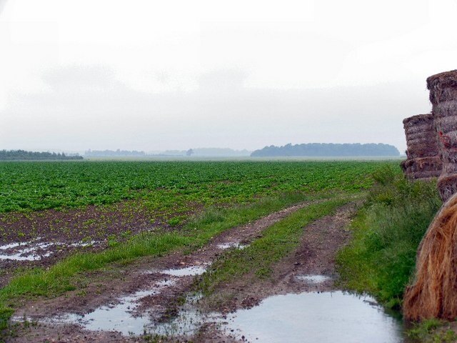 "Asgarby och Howell"-foto av Roger May (CC BY-SA) / Urklipp från original