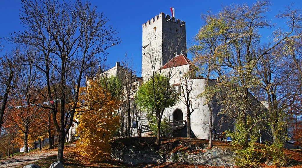 "Brunicos slott"-foto av Vid Pogacnik (page does not exist) (CC BY-SA) / Urklipp från original