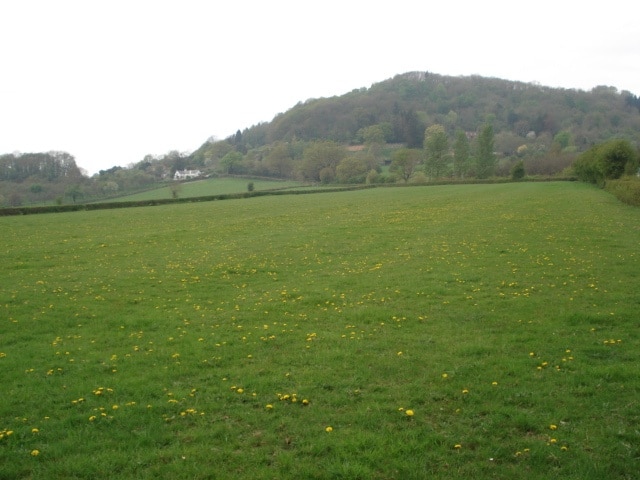 Backbury Hill from the Pentaloe Brook