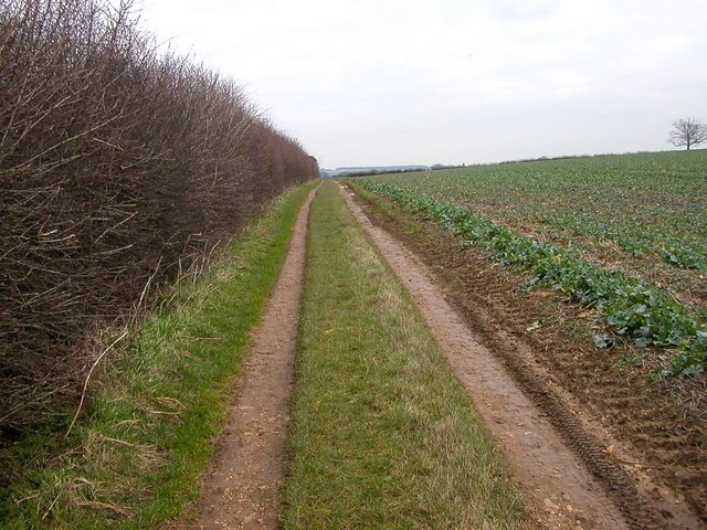 Foto „Haselbech“ von Ian Rob (CC BY-SA)/zugeschnittenes Original