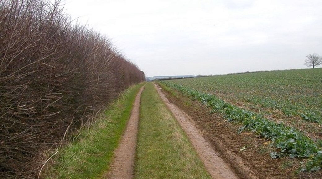 Photo "Haselbech" by Ian Rob (CC BY-SA) / Cropped from original