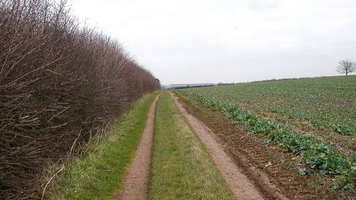 Foto „Haselbech“ von Ian Rob (CC BY-SA)/zugeschnittenes Original