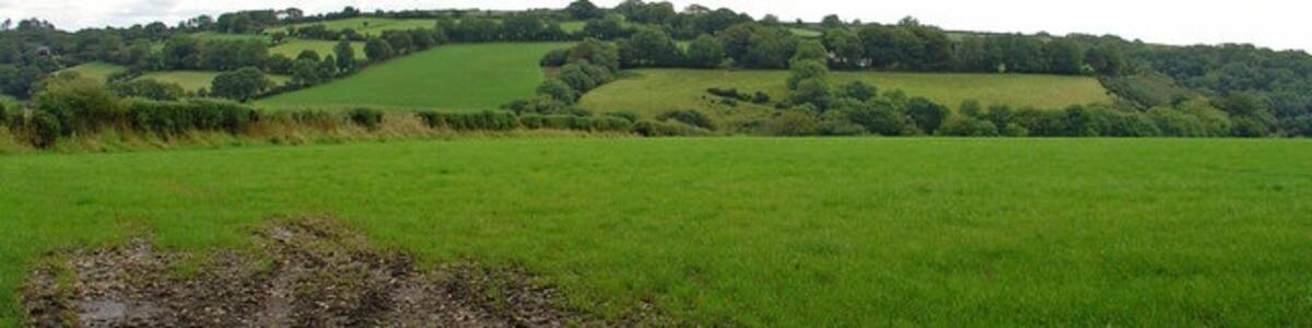 Photo "Fields near Blaendyfod, Trelech a'r Betws" by Dylan Moore (Creative Commons Attribution-Share Alike 2.0) / Cropped from original