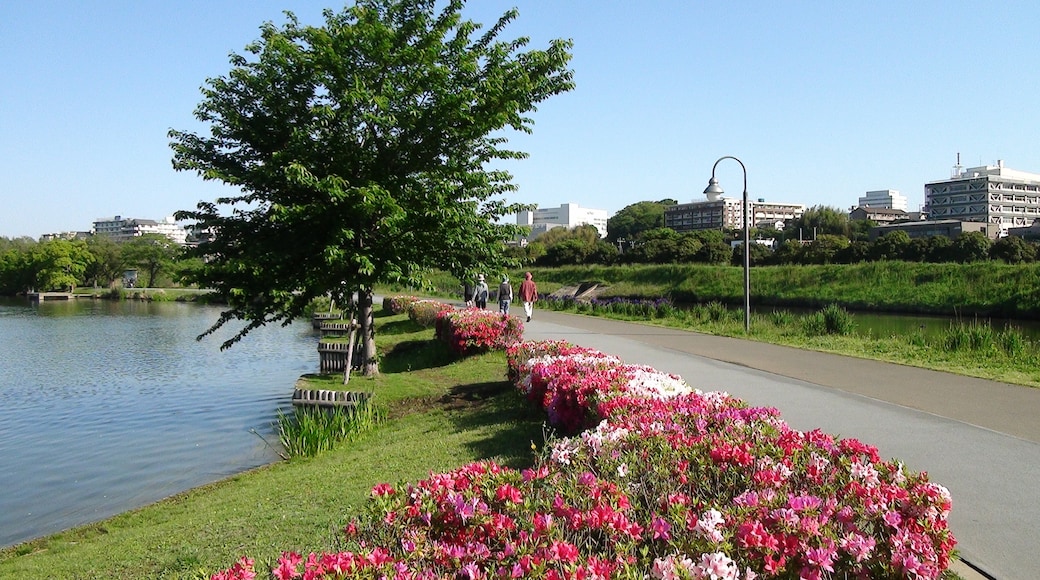 Ảnh "Công viên Kairakuen" của CyberOyaji (CC BY-SA) / Cắt từ ảnh gốc