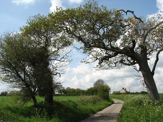 Approaching Edingthorpe from the east