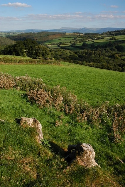 Cwm Rhiwiau near Tyleheulog The Black Mountains can be seen on the horizon.