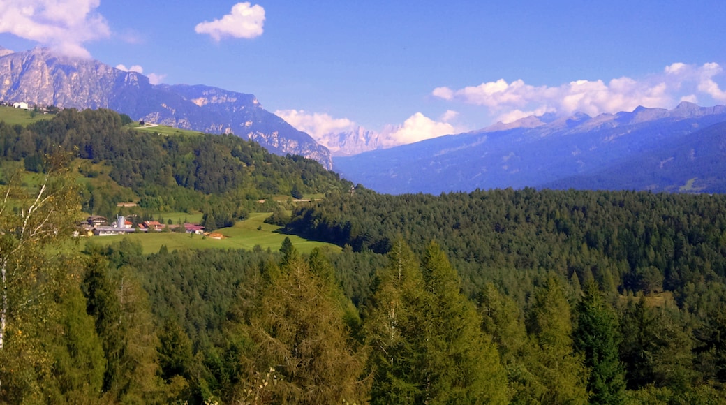 Photo "Castello-Molina di Fiemme" by Mario Penner (CC BY) / Cropped from original