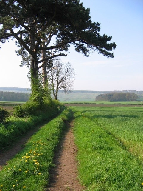 Foto “Thorpe Bassett” tomada por Stephen Horncastle (CC BY-SA); recorte de la original