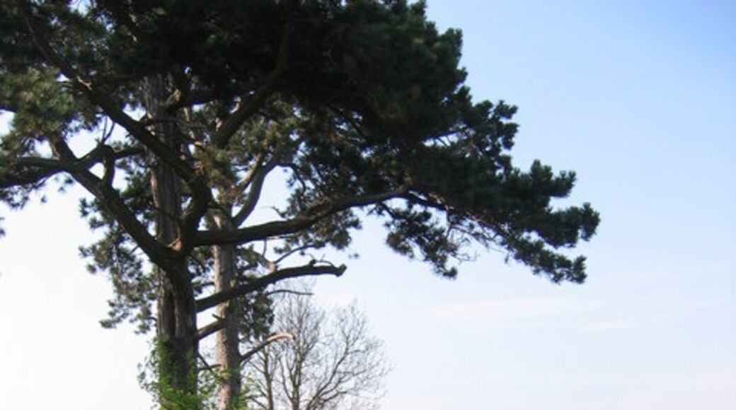 "Thorpe Bassett"-foto av Stephen Horncastle (CC BY-SA) / Urklipp från original