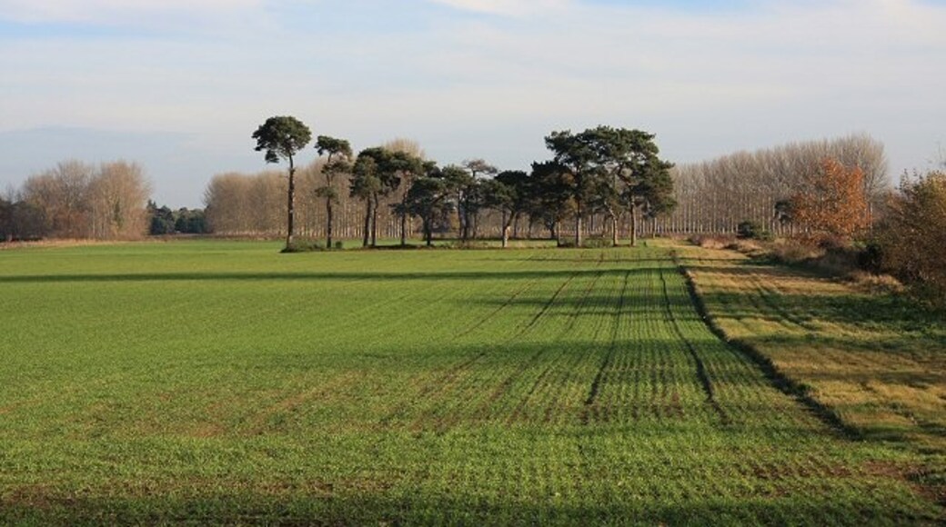Kuva ”Beck Row” käyttäjältä Bob Jones (CC BY-SA) / rajattu alkuperäisestä kuvasta