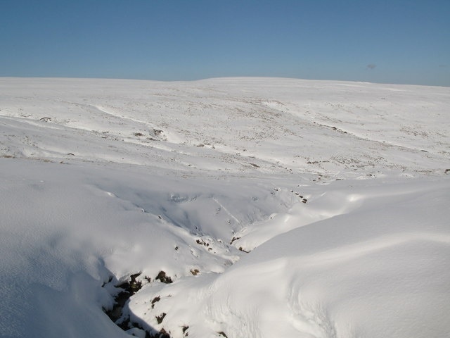 Cleugh of un-named tributary of Middlehope Burn. The burn is just to the west of 389796.