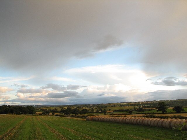 Ảnh "Rookwith" của Nick W (CC BY-SA) / Cắt từ ảnh gốc