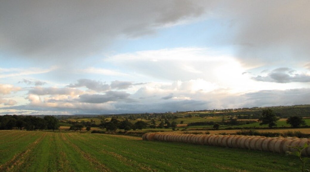 "Rookwith"-foto av Nick W (CC BY-SA) / Urklipp från original