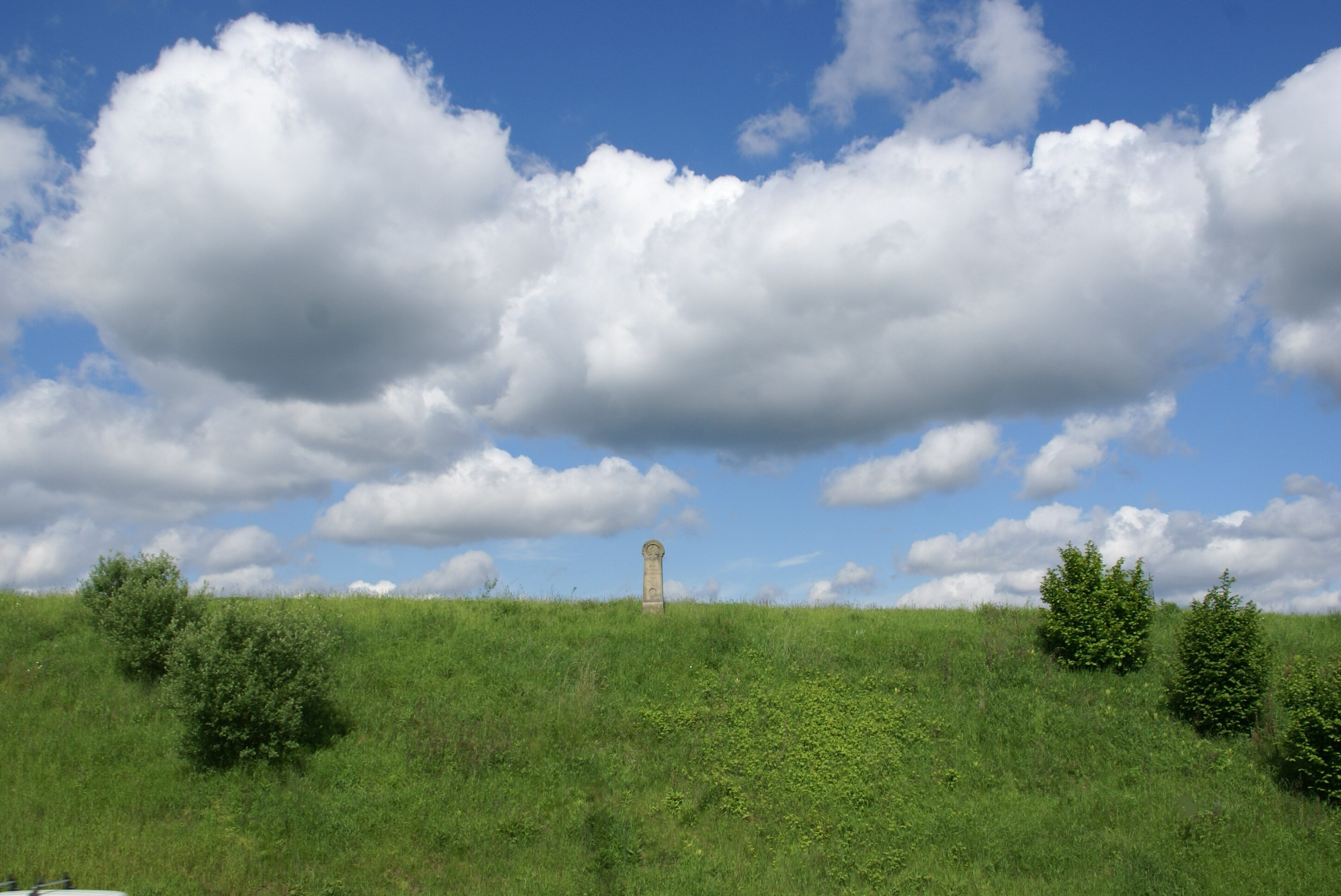Bildet «Alfter» tatt av Prof. emeritus Hans Schneider (Geyersberg) (CC BY) / originalbilde beskjært