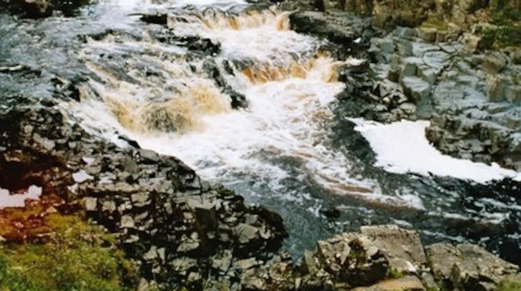 Photo "Low Force" by Andy Jamieson (CC BY-SA) / Cropped from original