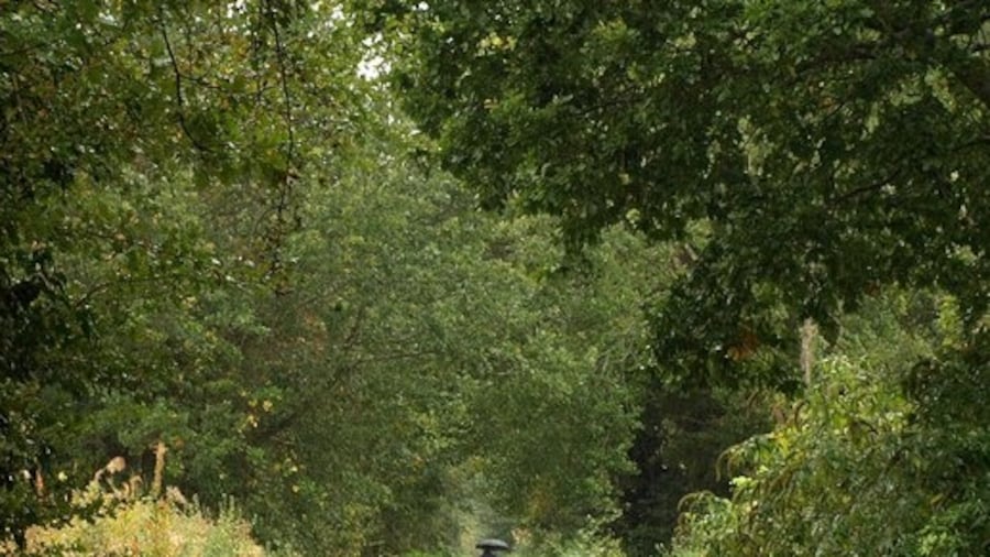 Photo "Norton Radstock Greenway. See 1528169; this is further west along the cycleway, with the trail running amongst trees to the north of Wellow Brook, and with a link just coming up on the right by the dog bin into housing on Spencer Road." by Derek Harper (Creative Commons Attribution-Share Alike 2.0) / Cropped from original