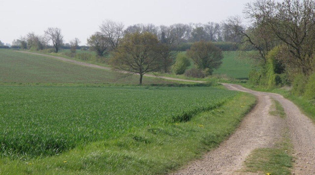 Foto “Southoe and Midloe” tomada por Michael Trolove (CC BY-SA); recorte de la original