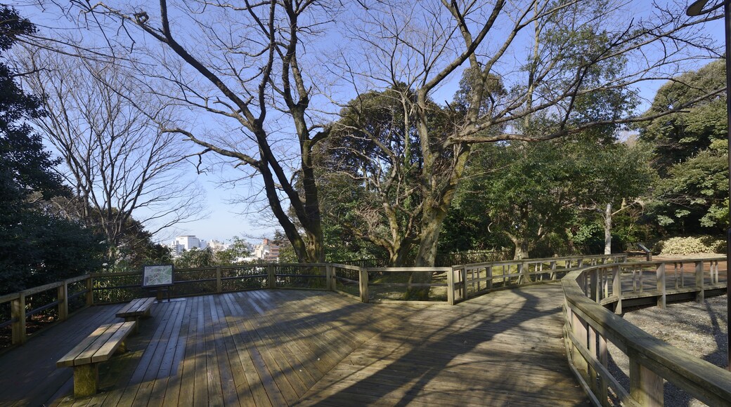 Foto "Museo Conmemorativo de Nakamura" por 金沢市 (CC BY) / Recortada de la original