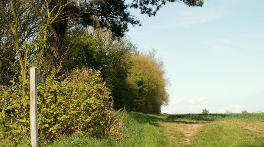 "Little Waltham"-foto av Robert Edwards (CC BY-SA) / Urklipp från original