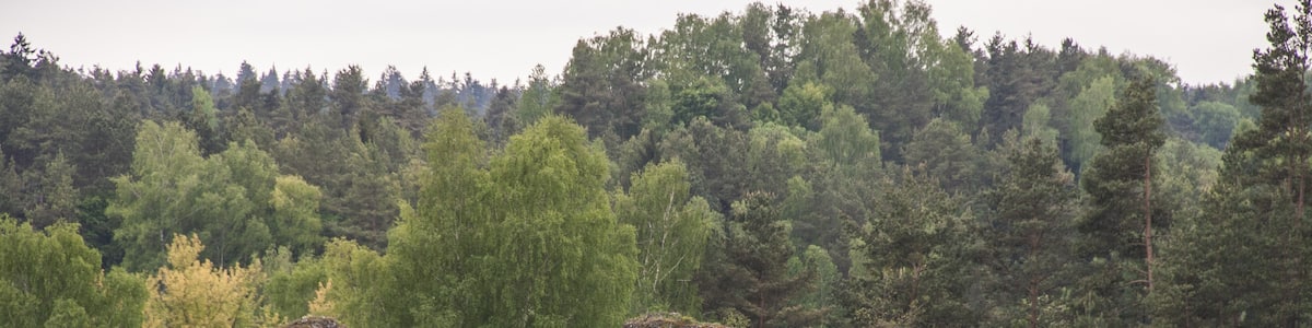 Photo "Huberfelsen, Alfeld, Geotop" by Derzno (Creative Commons Attribution-Share Alike 3.0) / Cropped from original