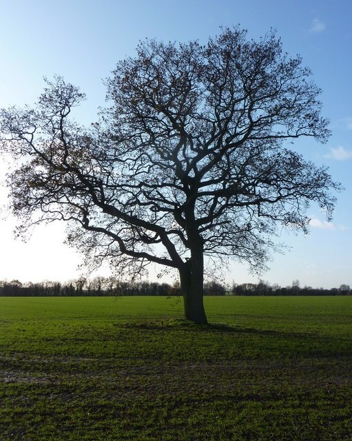 Billede "Preston St. Mary" af Andrew Hill (CC BY-SA) / beskåret fra det originale billede