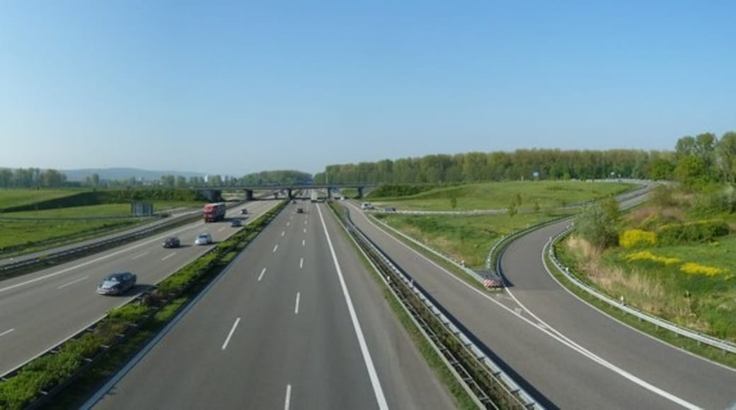 « Hagsfeld», photo de Harald Kucharek on geo.hlipp.de (CC BY-SA) / rognĂ©e de lâoriginale