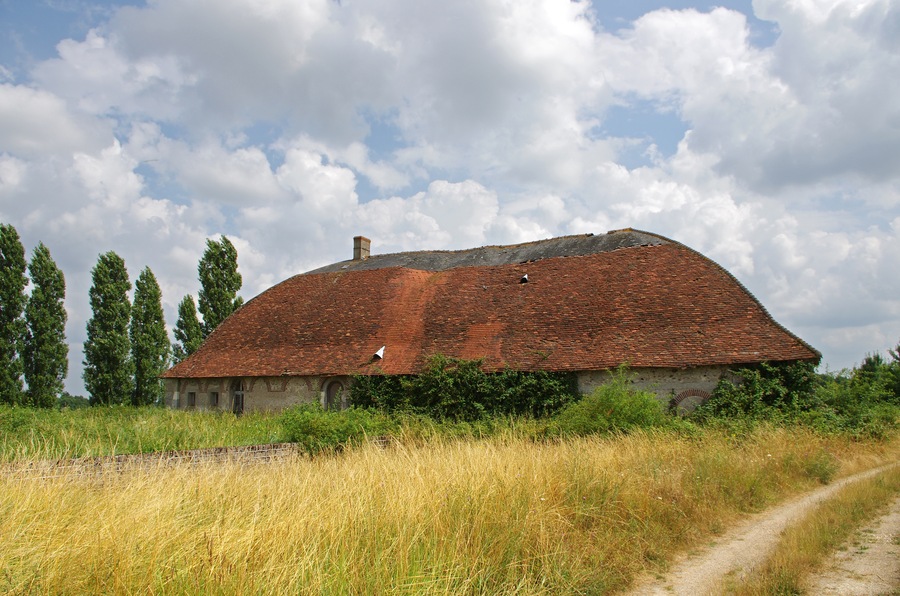 Mesland (Loir-et-Cher) Grange de la Perdrière. 47° 30' 33.6456" N 1° 7' 22.2384" E
Cette grange semble dater du dernier quart du 18e siècle et du 1er quart du 19e siècle. Elle dépend du château de Monteaux et appartient à une société privée. Sa toiture particulière, semble sans équivalent dans le Loir-et-Cher. Les caractéristiques techniques de sa charpente permettent de dater la construction de la fin du 18e siècle. Les fermes sont constituées de 3 cours de planches formant un arc ogival rapprochées par des clous en fer forgé. Les fermes, sont les éléments de charpente qui supportent le poids de la toiture (triangulaires dans le cas de la charpente traditionnelle, mais ce n'est pas le cas ici). Le type de charpente est dit à la Philibert de l'Orme. Ce religieux du 16e siècle est surtout connu pour ses travaux d'architecture. En particulier, dans le livre X de son "Premier tome de l'architecture", Philibert de l'Orme décrit un nouveau type de charpente pouvant utiliser du bois court pour des toitures à grand développement. Ce type de charpente est cher en main d'oeuvre, économe en bois et généreux en espace. Une toiture à la Philibert de l'Orme ressemble à une carène de navire renversée. This barn appears to date from the last quarter of the 18th century and the first quarter of the 19th century. The type of timber work is said to Philibert de l'Orme. It is a timber work frame-shaped hull ship
