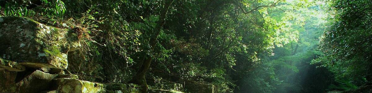 Photo "千綿渓 龍頭泉 静止淵" by mahlervv (Creative Commons Attribution 3.0) / Cropped from original