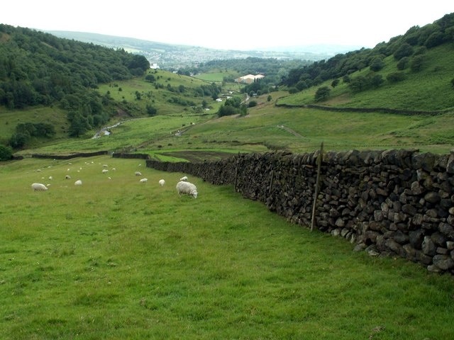 A Boundary Wall alongside the path to Doctor's Gate Shire Hill is the woodland top left and Moorside is the wooded area top right.