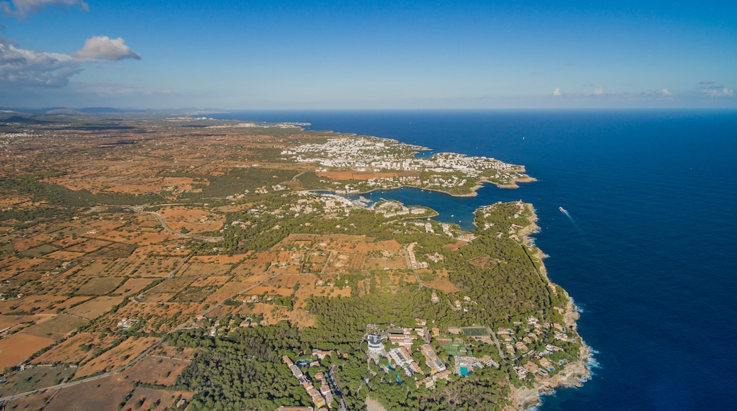 Foto “Portopetro” tomada por dronepicr (CC BY); recorte de la original