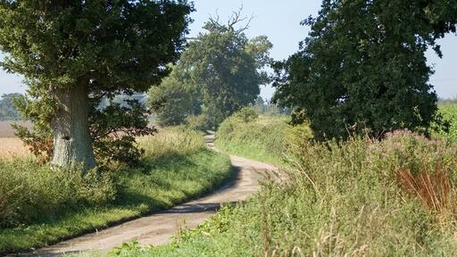 Kuva ”Beighton” käyttäjältä Rodney Harris (CC BY-SA) / rajattu alkuperäisestä kuvasta